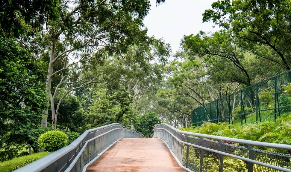 原创广州第一条"空中步道",穿行在青山绿水间,走完全程大约2小时