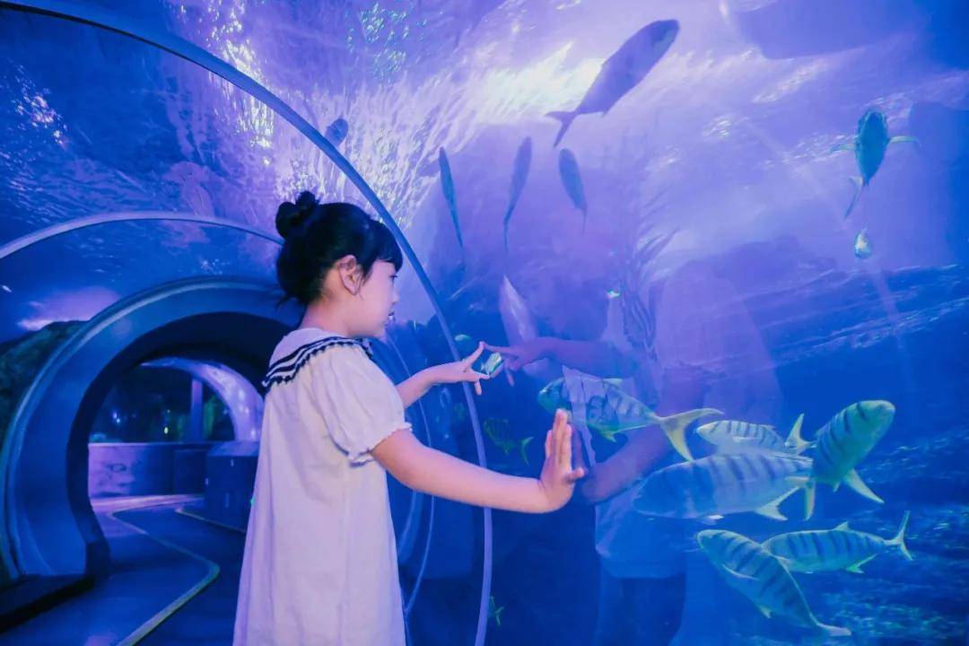 国庆来青岛海底世界,看神奇"彩虹生物"主题展!给你点颜色瞧瞧!