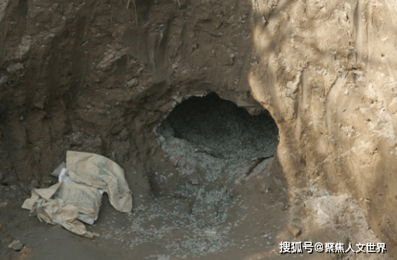 我家地窖通明朝 来自搜狐网