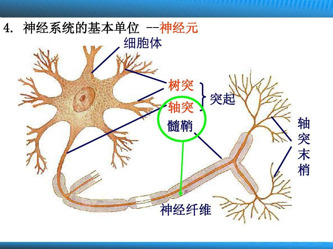 运动神经元患者康复案例22