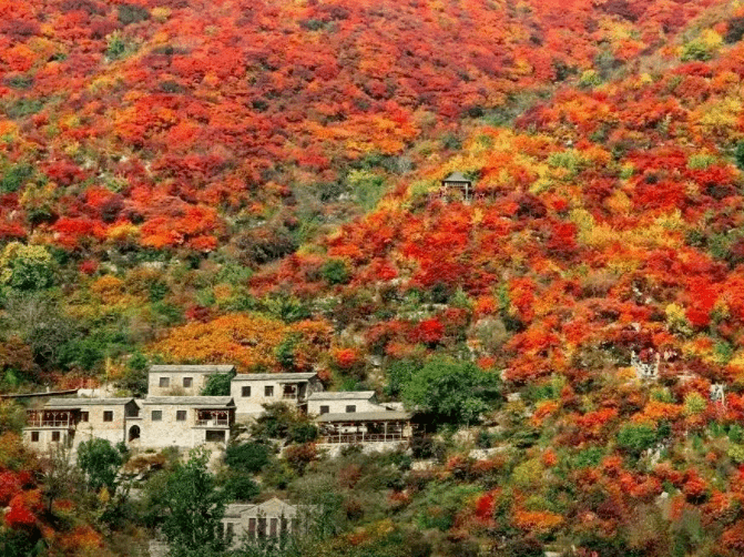 快收藏!房山十大"醉"美红叶观赏地