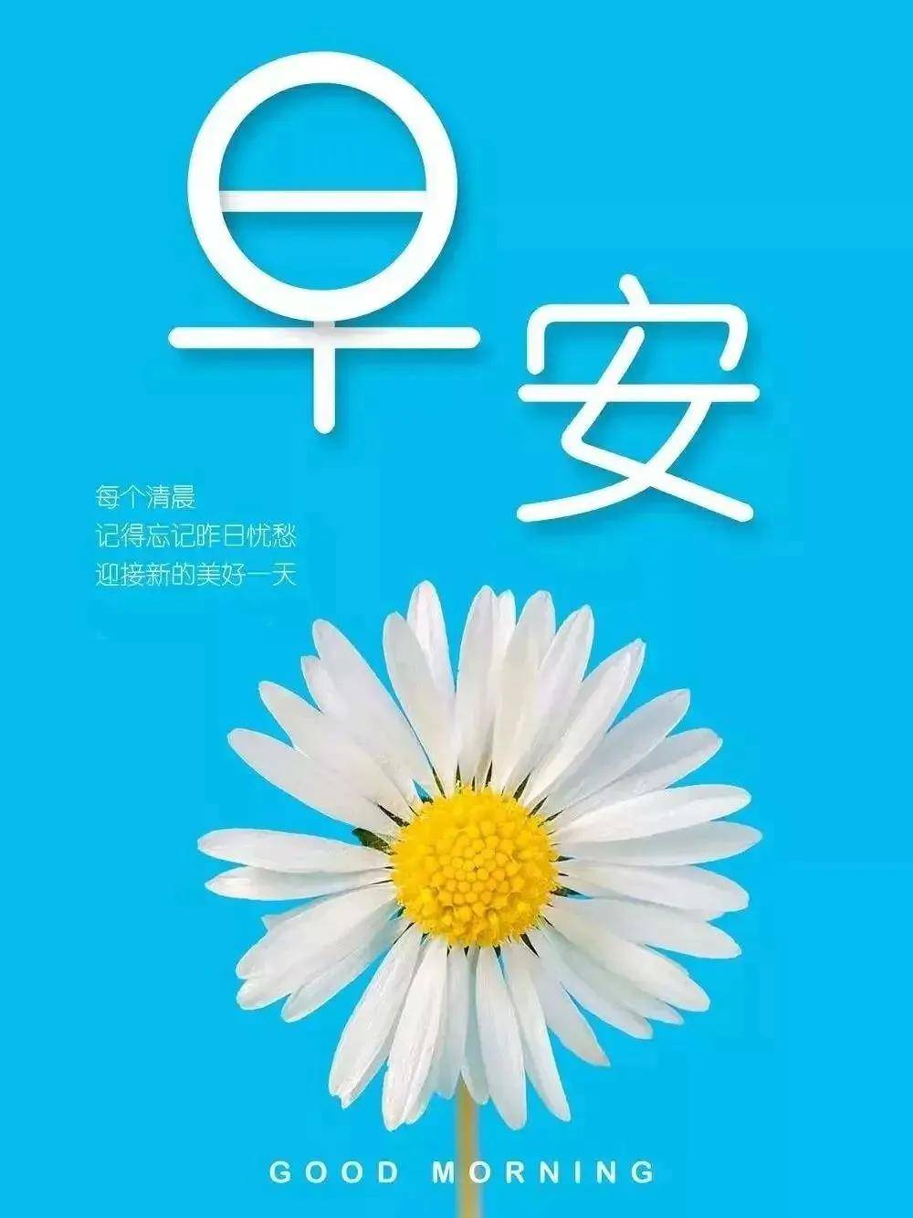 原创2021牛年最新最有创意的早安表情图片2021早上好亲朋好友们