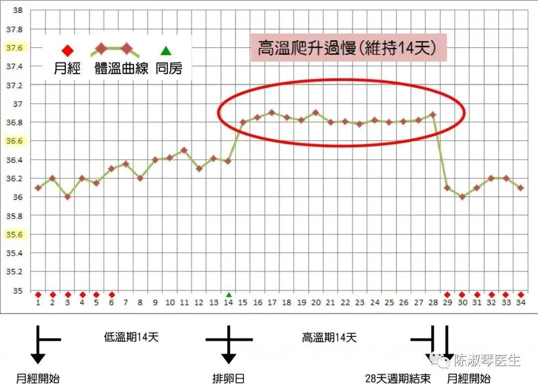 答个疑排卵期该如何计算呢