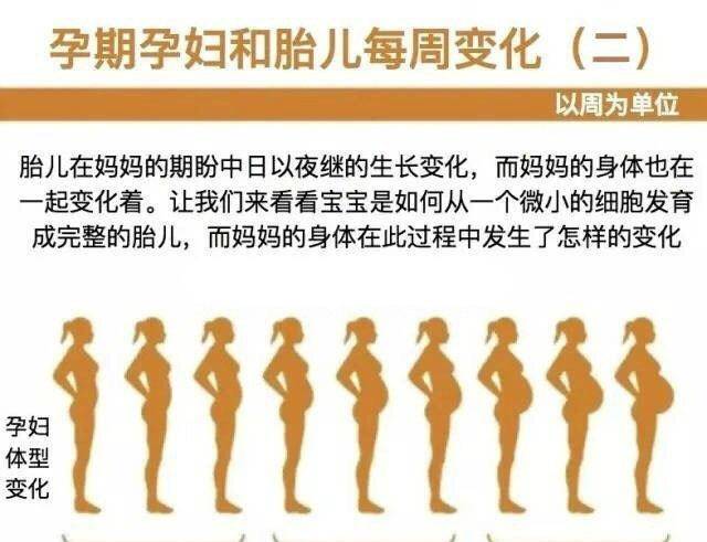 怀胎十月孕妈妈胎儿每周都有哪些变化孕妈妈速览