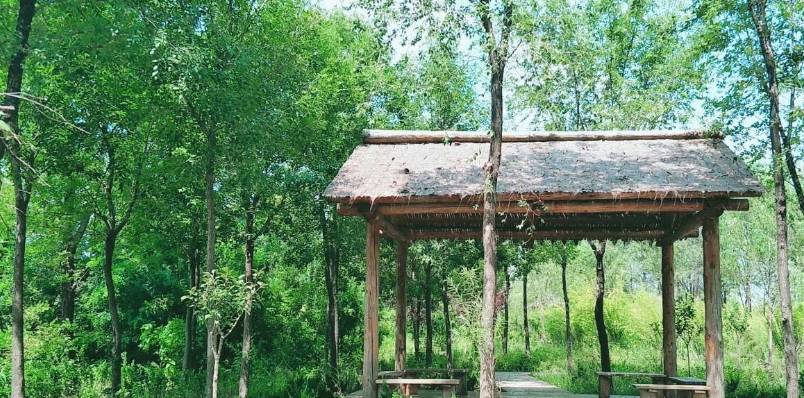 东营旅游景点介绍,东营好玩地方推荐,东营著名五个旅游景点
