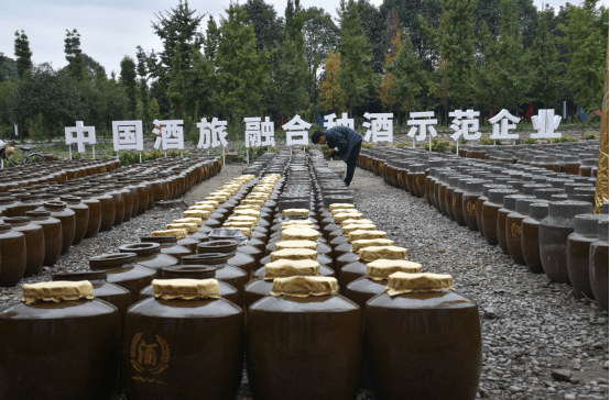 第九届金盆地种酒文化节开幕,崇阳药香润金盆,酒旅融合耀华樽