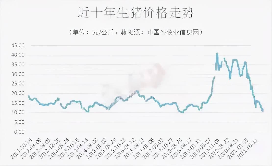 猪价跌速历史罕见,十年间为何今年最惨?