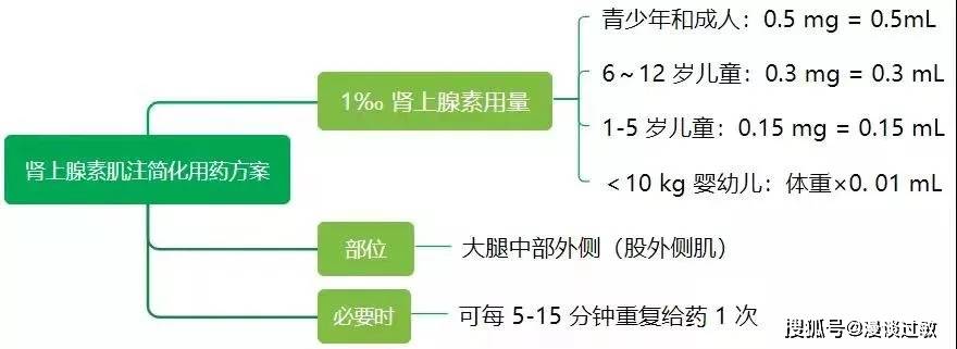 过敏性休克抢救,干货满满一文讲解