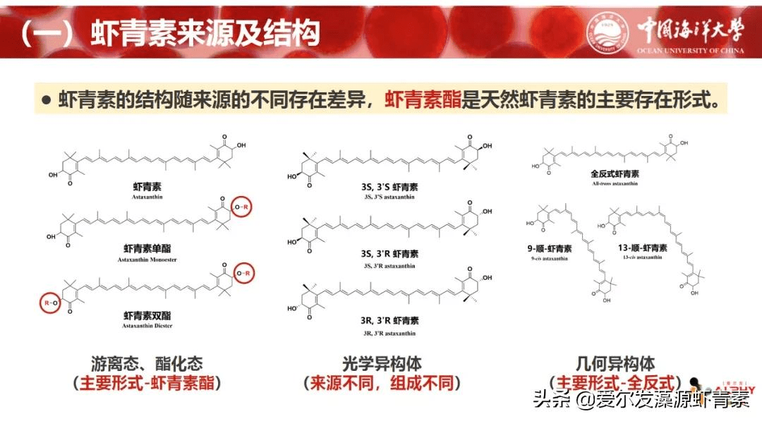 爱尔发虾青素学术研讨会 | 虾青素的生物活性及高效利用