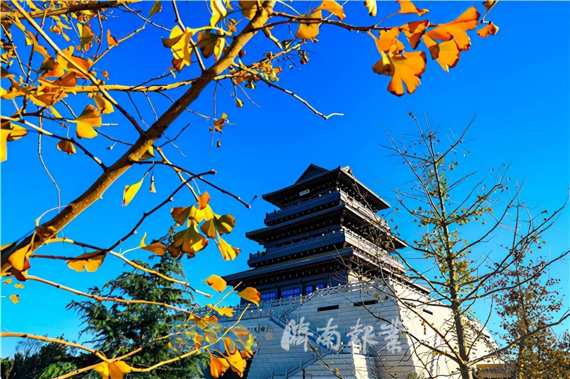 登临鹊华楼饱览黄河秋色!济南黄河文化传承基地即将完工