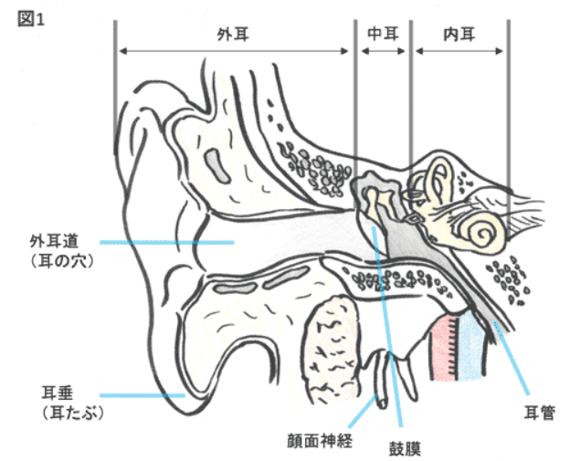 jmt日本出国就医|罕见癌症听觉器官癌的症状99诊断99治疗介绍