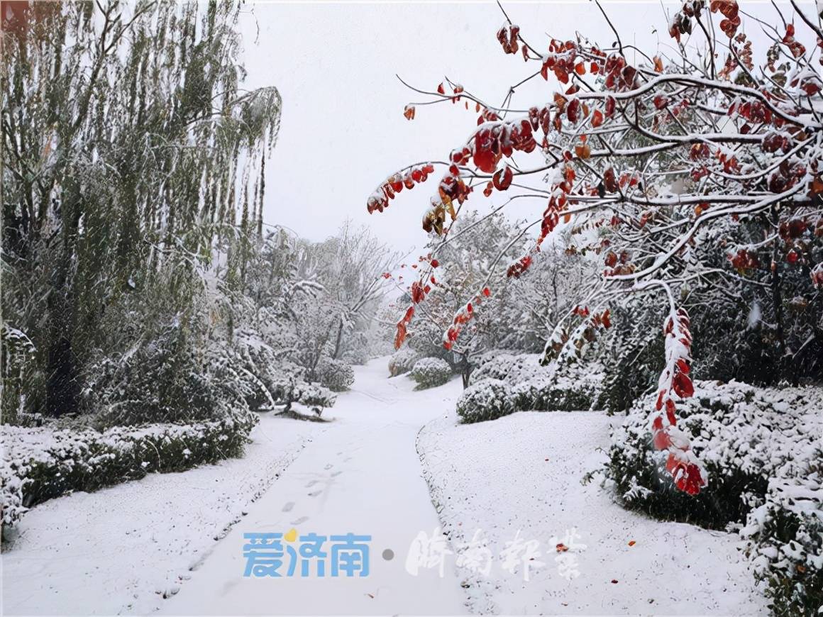 济南人的朋友圈被雪景刷屏了!