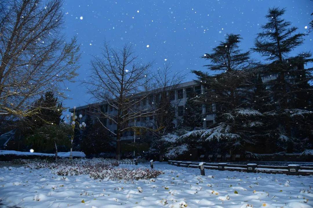 80张绝美雪景图,带你看遍各个大学2021年的第一场雪,真是美爆了