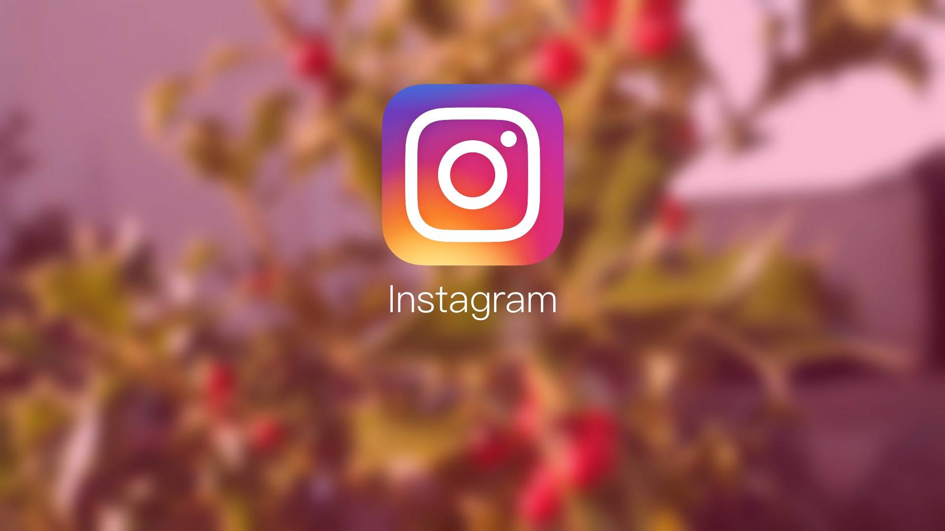 instagram准备推出订阅服务允许用户为独家内容付费