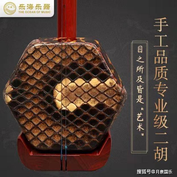 2021二胡选购指南二胡怎么买二胡买什么品牌广州学二胡