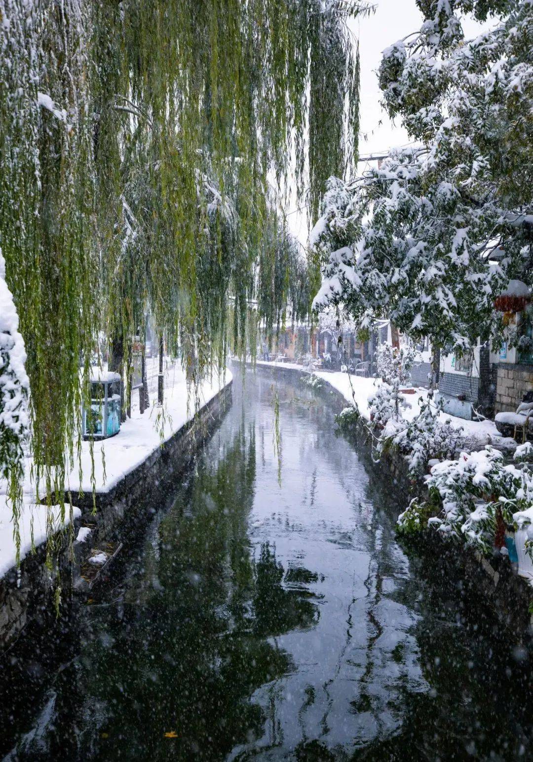 "济南府"雪景刷屏!来看老舍笔下"济南的冬天"有多美!