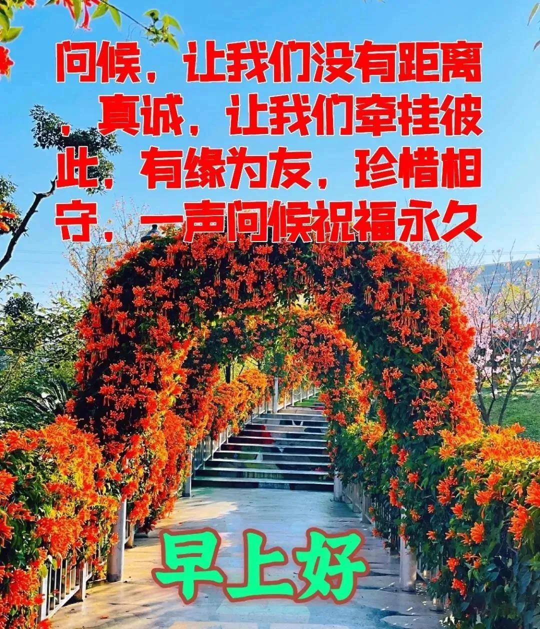 2021最新创意好看的免打字早上好图片 不用打字聊天的早上好问候图片