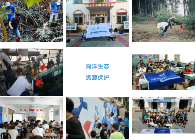蓝丝带海洋保护协会获评海南省先进社会组织