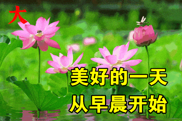 2021牛年最美的早安祝福问候暖心语录