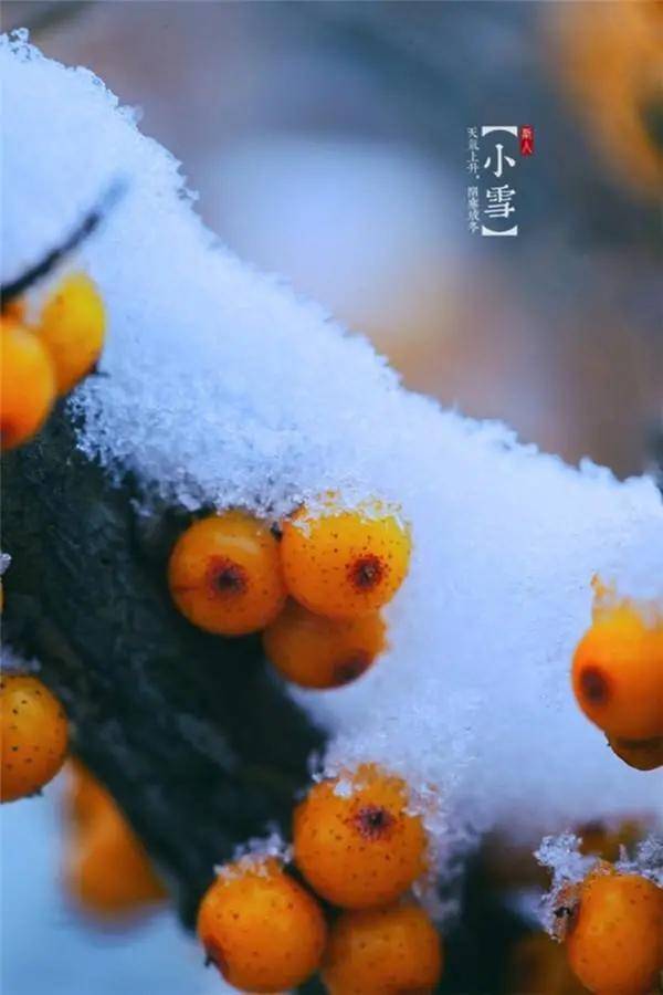 11月22日周日小雪早上好动态表情图片大全