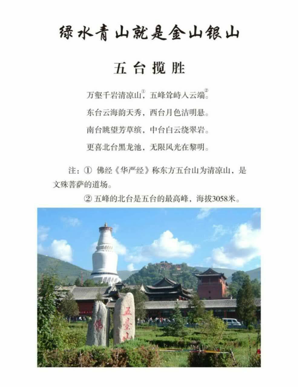 中国当代艺坛榜样人物-杨正贻