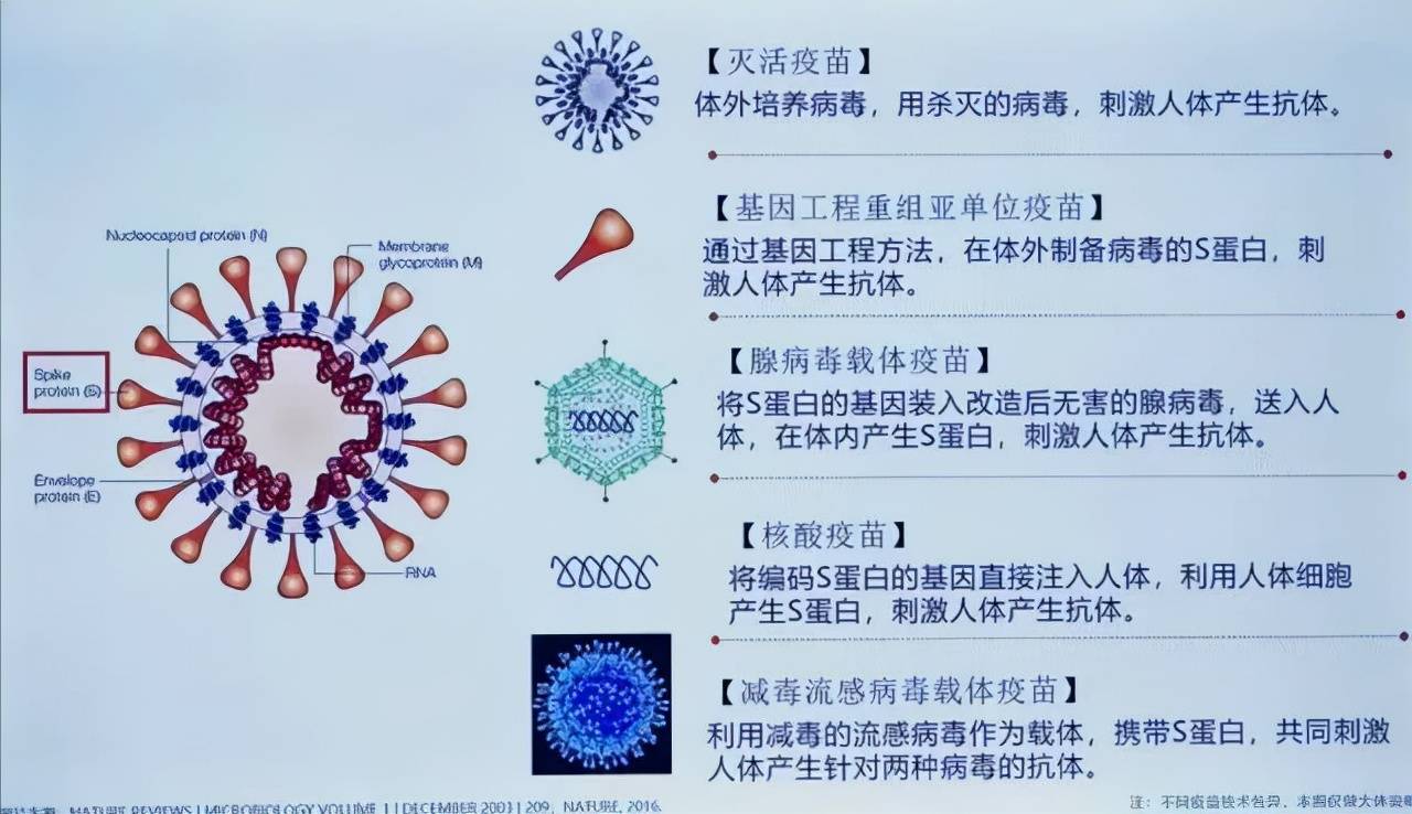 中国实现了灭活疫苗,核酸疫苗,重组蛋白疫苗,腺病毒载体疫苗,减毒流感