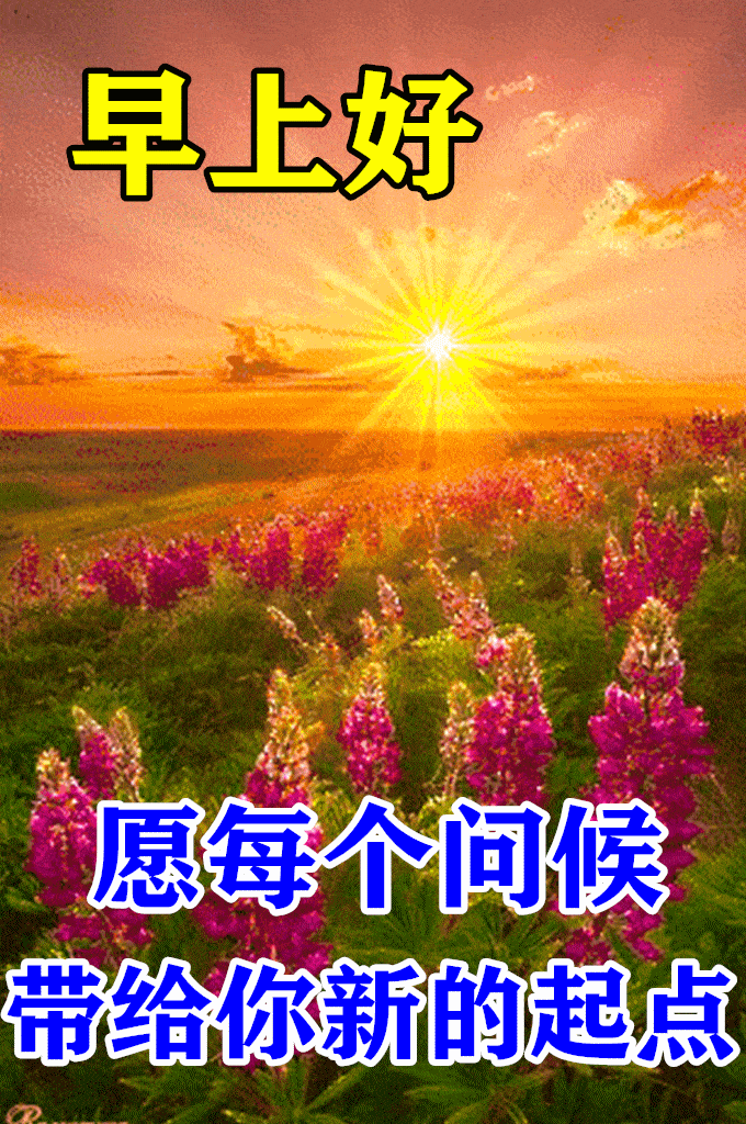 微信朋友圈早上好动图美图大全带字,好的事情总会到来