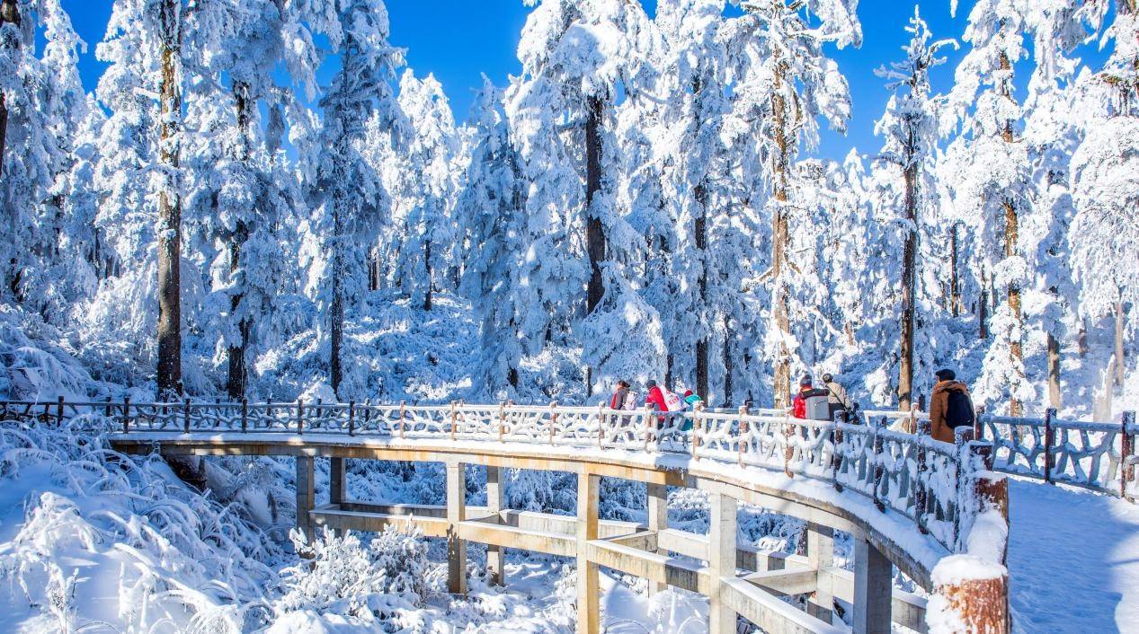 官宣三大野生萌宠空降燃情开启瓦屋山最萌冰雪嘉年华