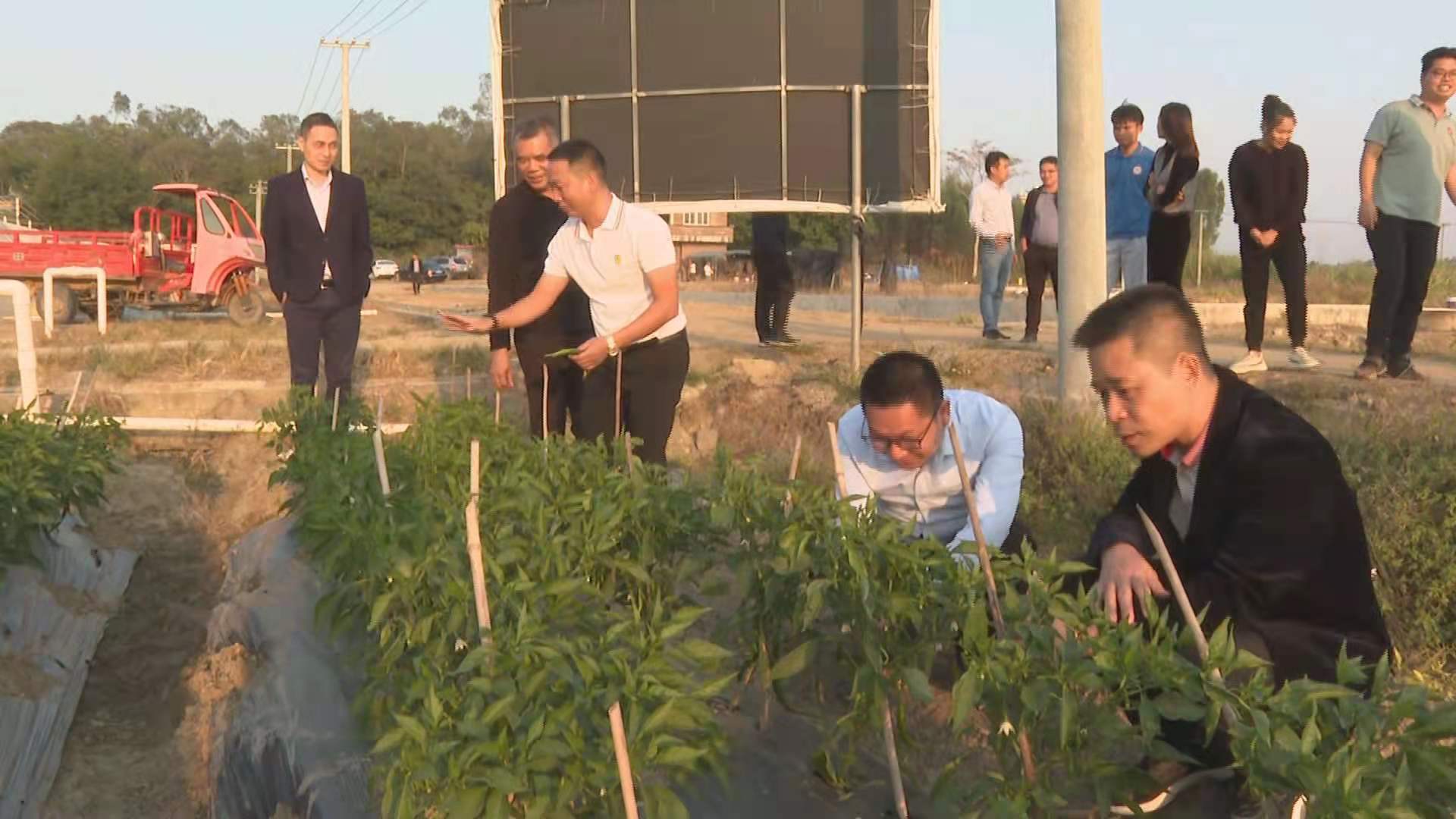 由省农业农村厅驻镇帮镇扶村工作队牵头,省直和中直驻粤单位驻廉江市