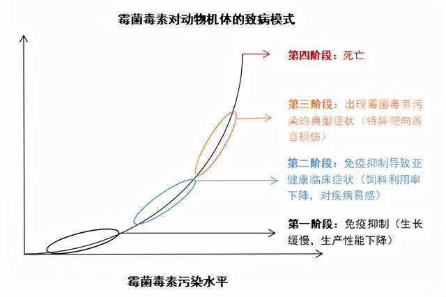 动物体内有这种毒素的要小心_饲料_畜禽_解毒