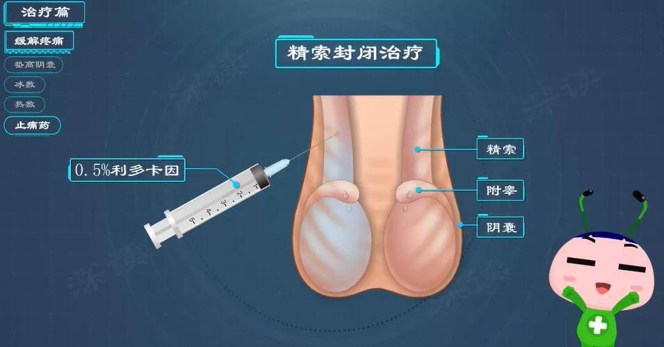 阴囊_检查_抗生素