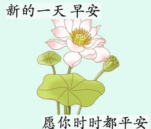 原创冬天最美丽早安问候语图片带字温馨2021暖心早上好图片表情祝福