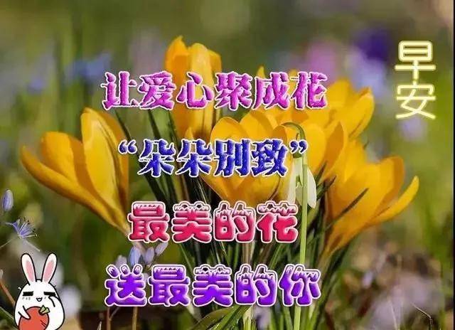 原创寒冷清晨发朋友圈的早上好漂亮图片早安动图早安唯美动态表情祝福
