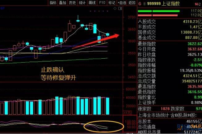 财经365内参中国股票市场分化明显反弹需蓄势