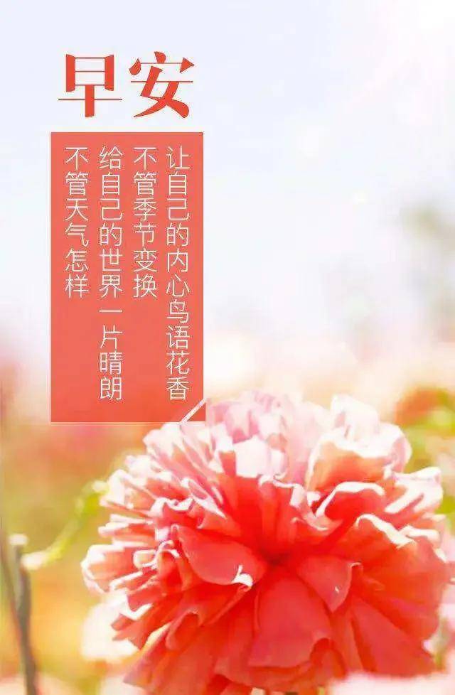 原创最漂亮早上好动态表情图片12月最新漂亮早上好图片带字温馨