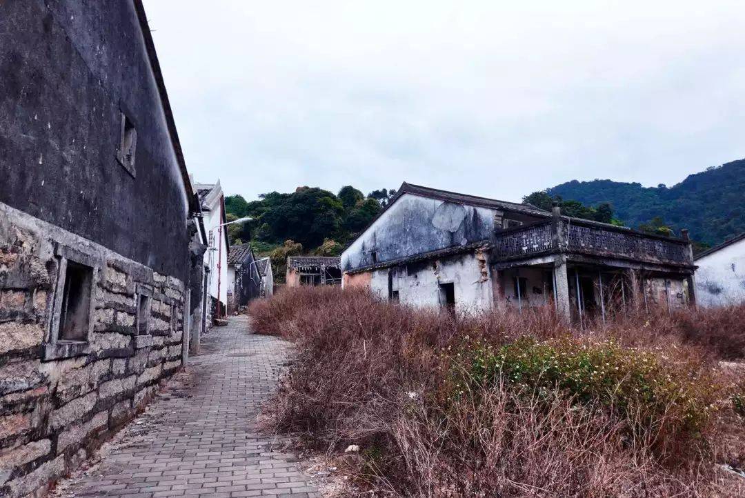 穿越西贡古道,大自然里的户外运动,三五好友可约_云村_深圳_南澳