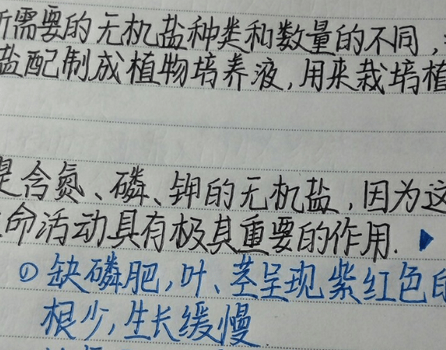 原创初中生司藤字体火了学生自认为颓废感十足老师却不喜欢