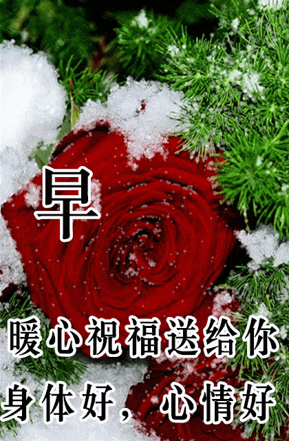 原创7张漂亮关心问候早安图片带祝福语好看的冬日天冷了早上好问候