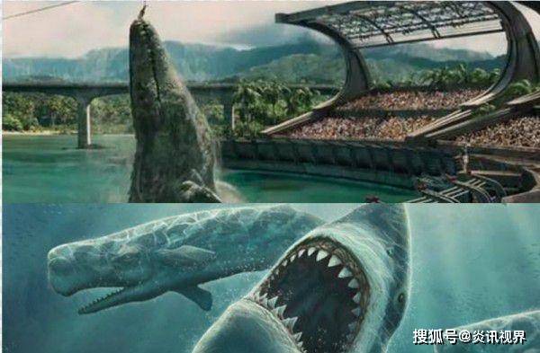 大白鲨和它相比弱爆了?巨齿鲨的战斗力到底有多恐怖?