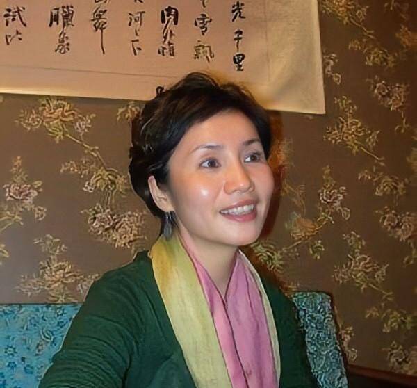 央视徐俐带儿子再嫁丈夫对视继子视如己出没要孩子成遗憾