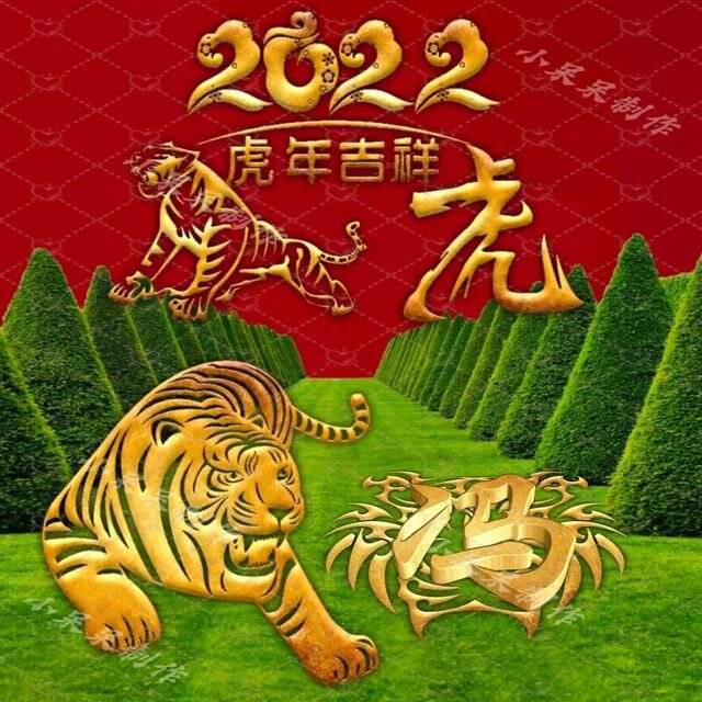 中华诗词学会会员甘肃张建中虎年新作