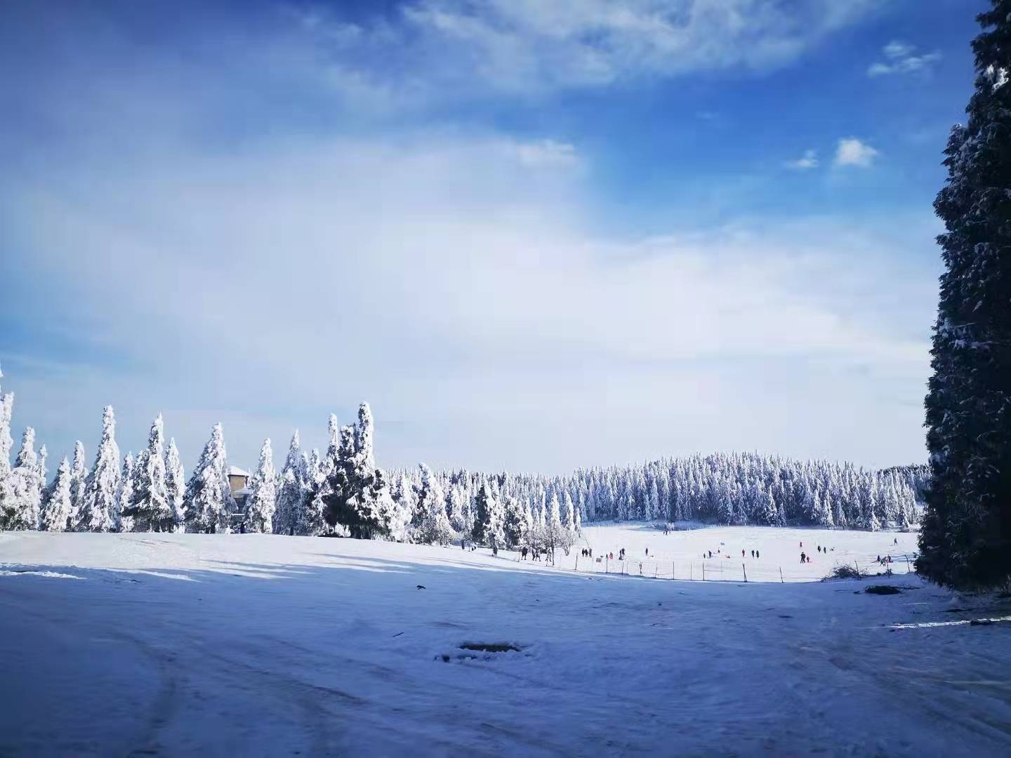 在这儿还能堆雪人,堆冰墩墩,滑雪板,滑雪圈和滑雪船……(图李鹏程摄)