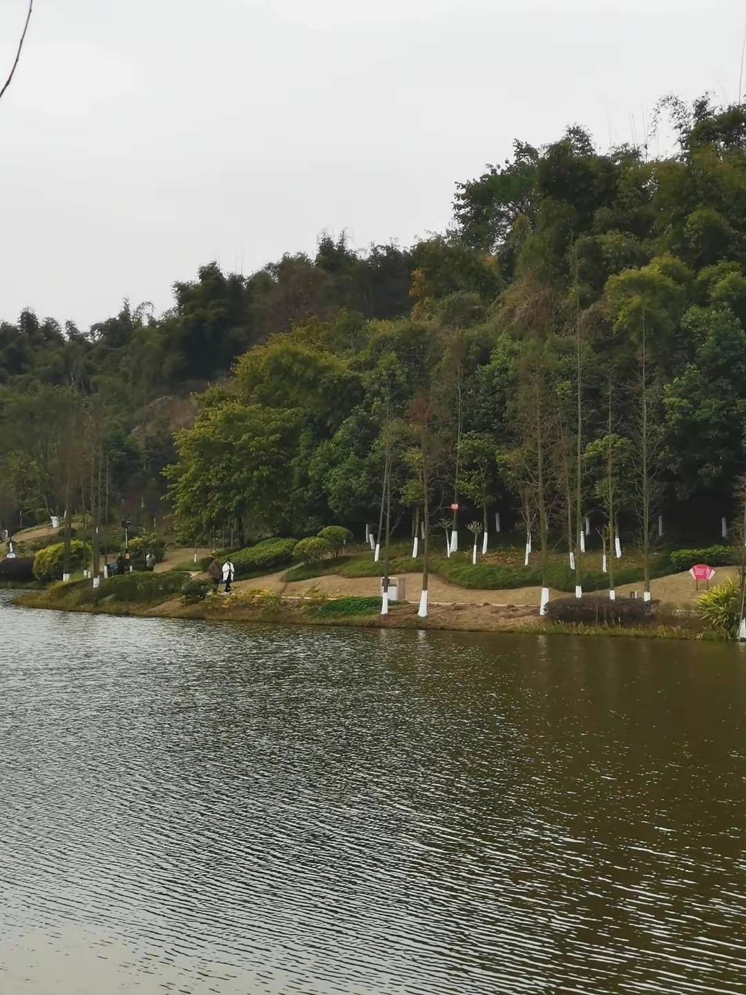 卧龙湖位于自贡市南部,燊海森林山下,是自贡最大的湿地公园,占地约58