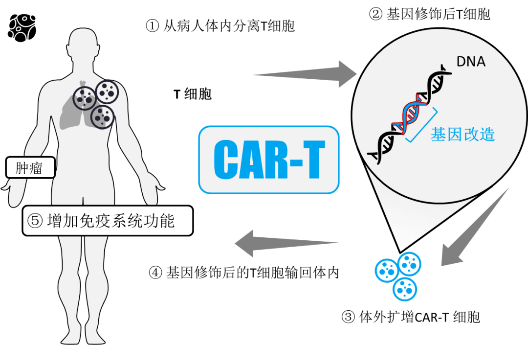 一文了解cart疗法的前世今生