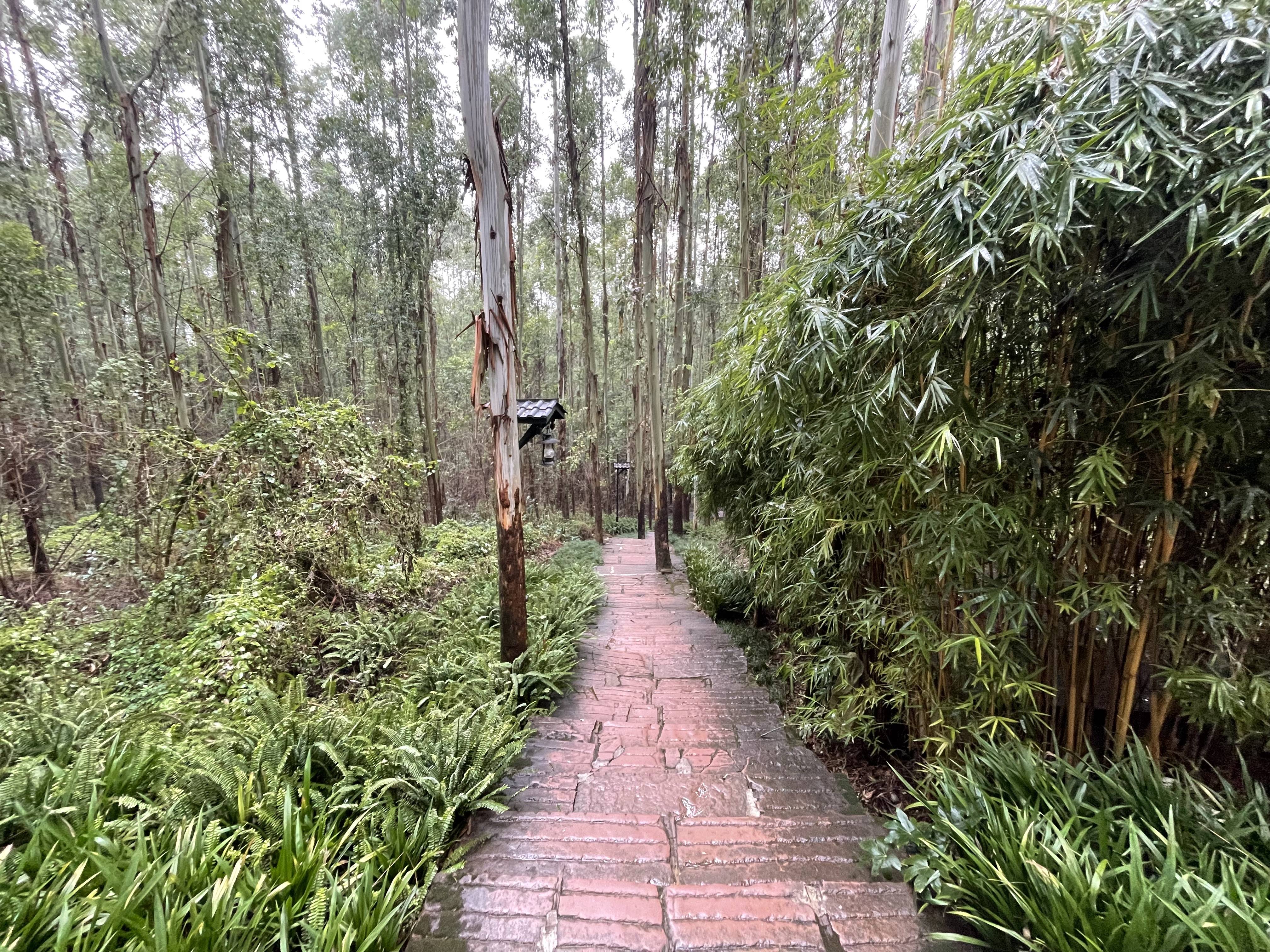 总体来说仰天窝值得用半天时间去爬一趟,平日游客很少,把车停在山下的