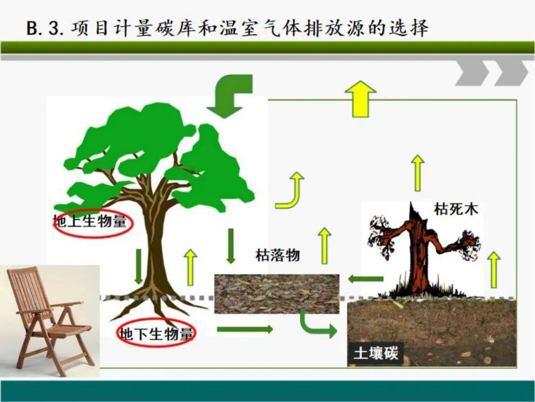 林业碳汇项目开发的12个流程及案例(附下载)_国家_交易所_领域