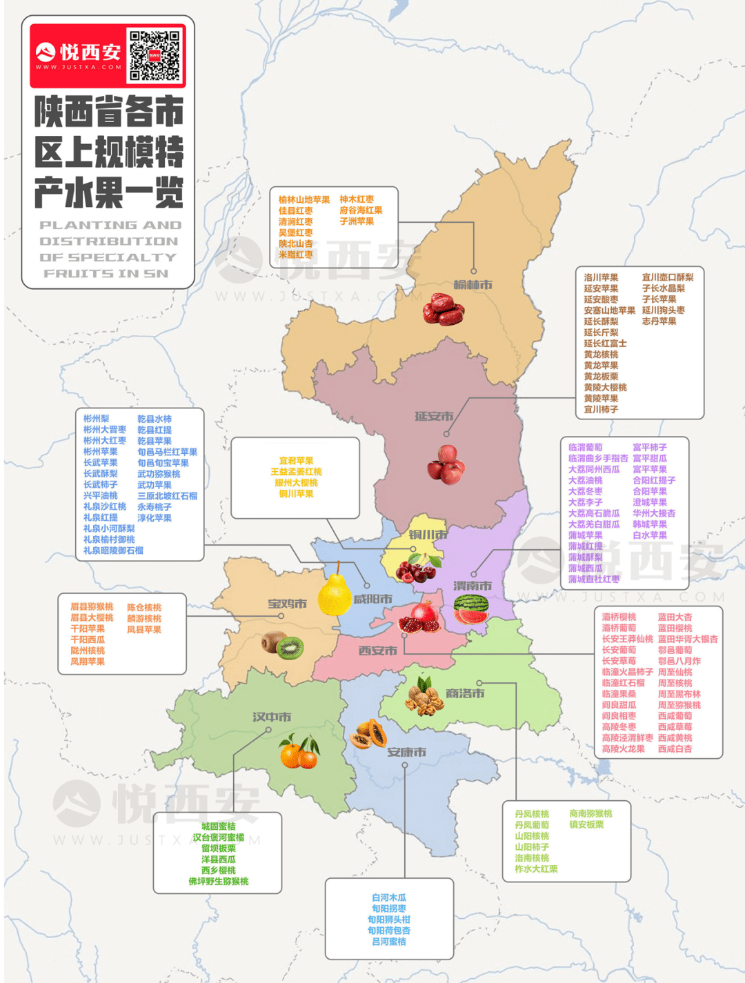 没想到吧,水果第一大省,竟然是陕西?_苹果_猕猴桃_产量