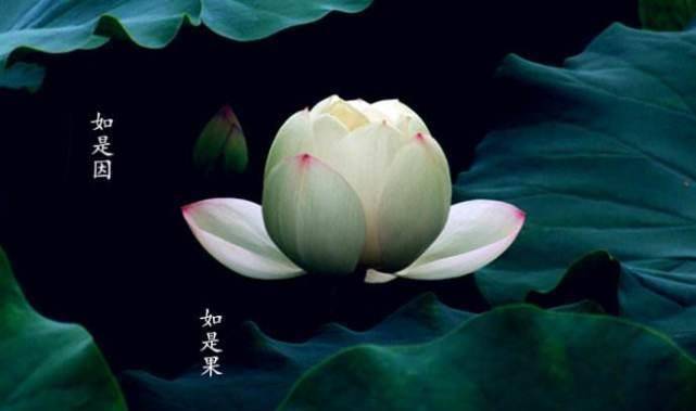 千万不要怪时运不佳,从佛学因果的关系上来讲,这就是一种逃避责任的
