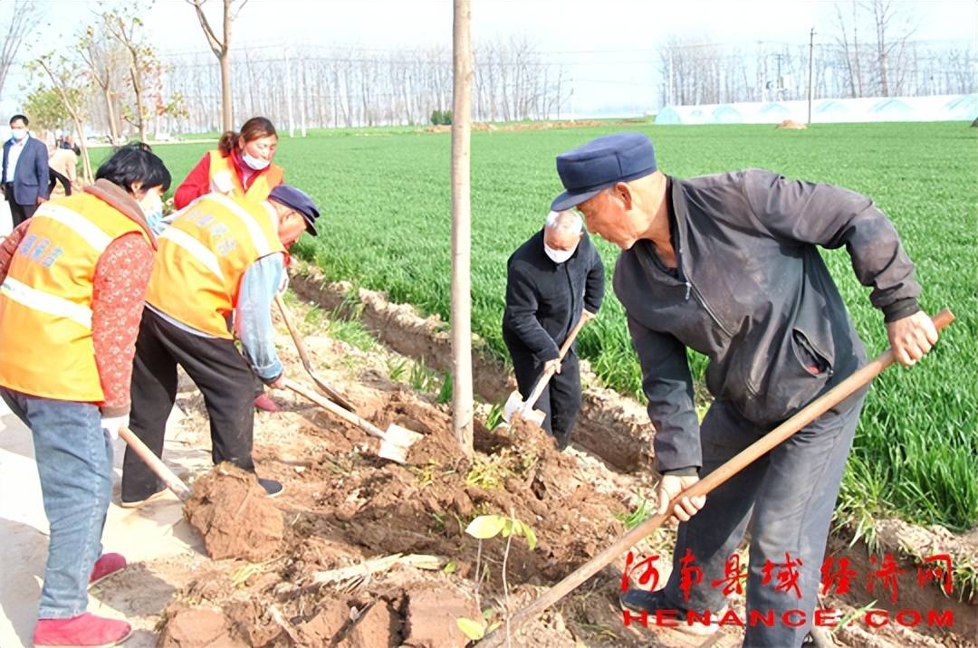 夏邑县孔庄乡美丽乡村建设如火如荼