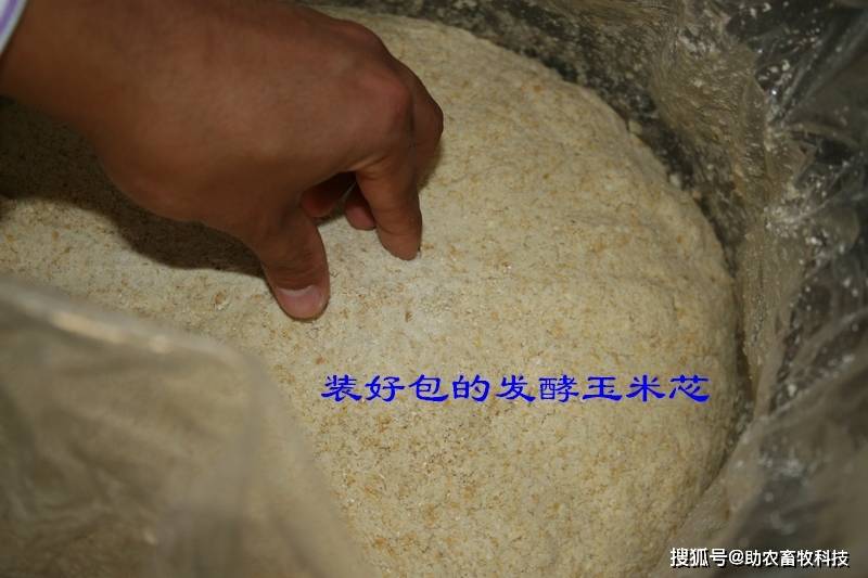 玉米芯通过发酵成为优质猪鸡鸭动物饲料技术,可长时间